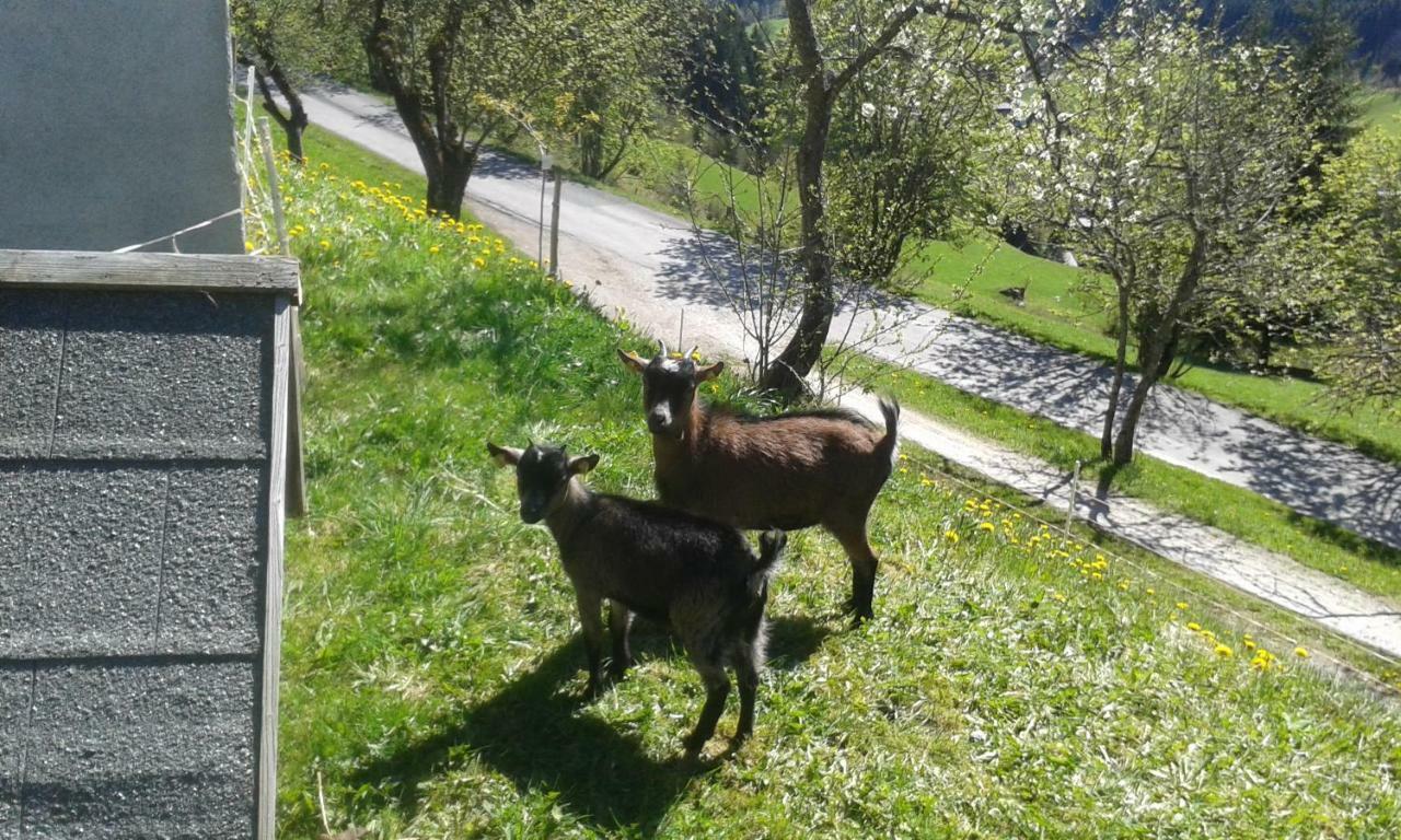 Pension Chalet Bergseegut Wagrain Exterior foto