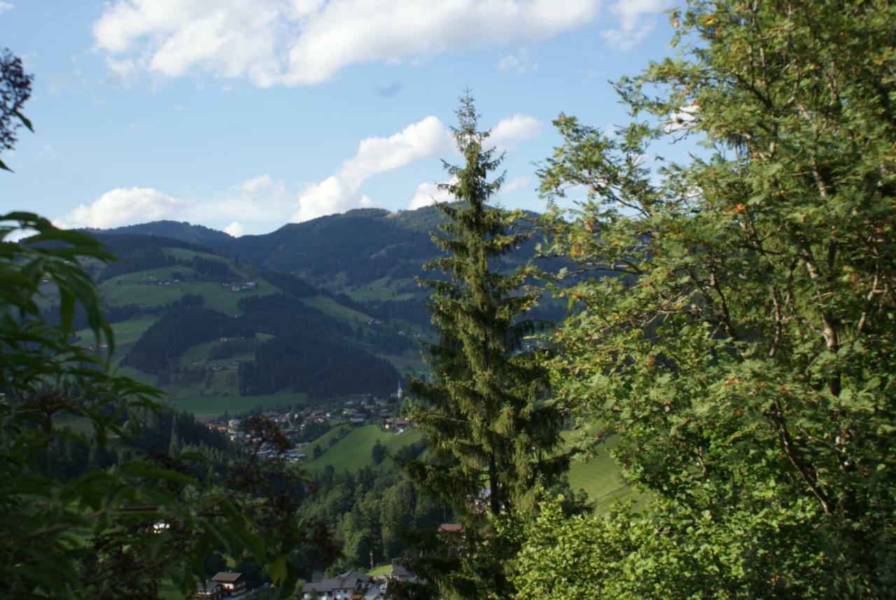 Pension Chalet Bergseegut Wagrain Exterior foto